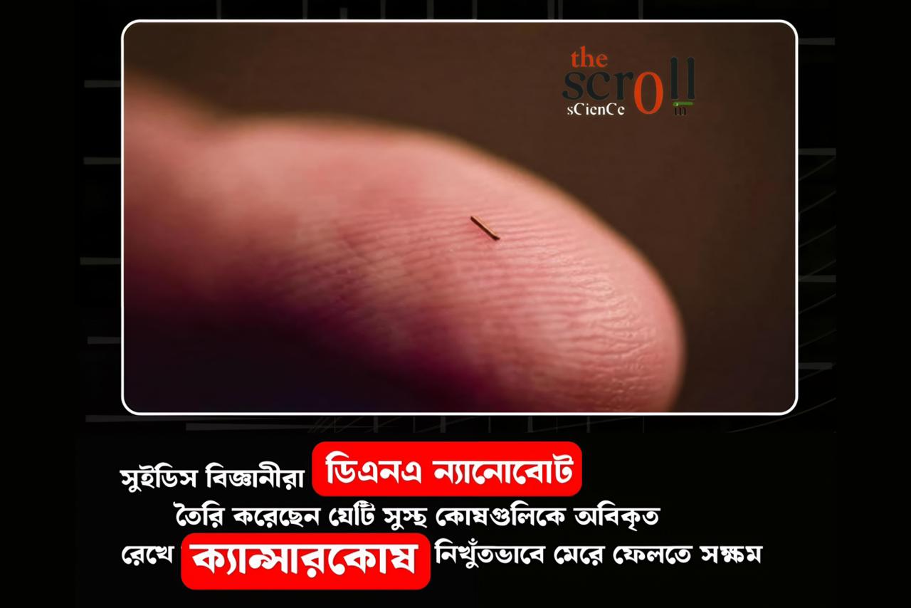 ক্যান্সার সারাবে ন্যানোবট